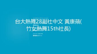 台大熱舞28副社中文 黃康蘋(竹女熱舞15th社長)