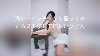 海のトイレを前から撮ってみたら２６察してほしい女子入り