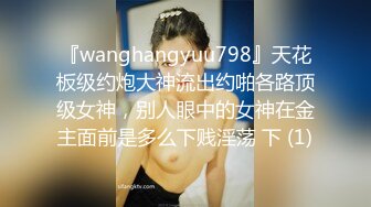 『wanghangyuu798』天花板级约炮大神流出约啪各路顶级女神，别人眼中的女神在金主面前是多么下贱淫荡 下 (1)