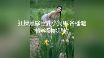 狂操黑絲巨乳小隻馬.各種體位幹到她腿軟