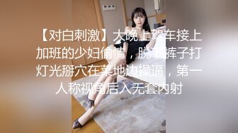 【对白刺激】大晚上驾车接上加班的少妇偷情，脱下裤子打灯光掰穴在菜地边操逼，第一人称视角后入无套内射