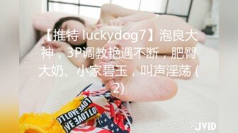 【推特 luckydog7】泡良大神，3P调教艳遇不断，肥臀大奶、小家碧玉，叫声淫荡 (2)