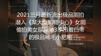 2021三月最新流出极品厕拍潜入《某大型购物中心》女厕偷拍美女尿尿第3季吊着白带的极品稀毛小肥鲍