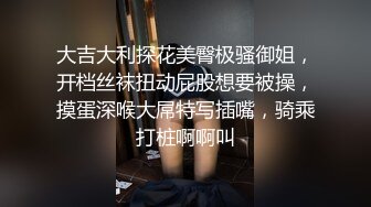 大吉大利探花美臀极骚御姐，开档丝袜扭动屁股想要被操，摸蛋深喉大屌特写插嘴，骑乘打桩啊啊叫