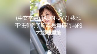 (中文字幕) [ADN-277] 我忍不住推倒了原本是青梅竹马的大嫂明里紬